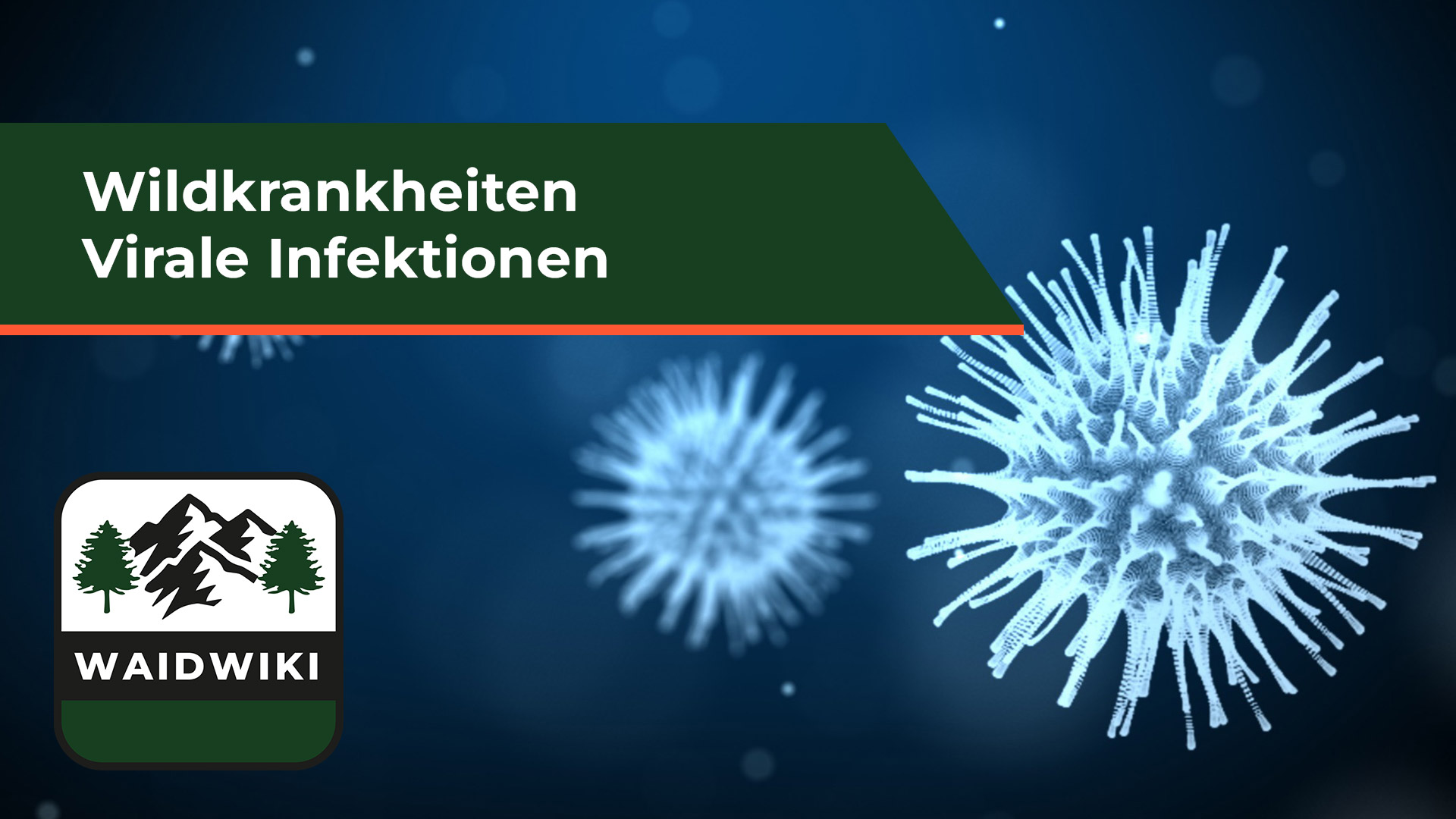 Virale Infektionen - Wildkrankheiten
