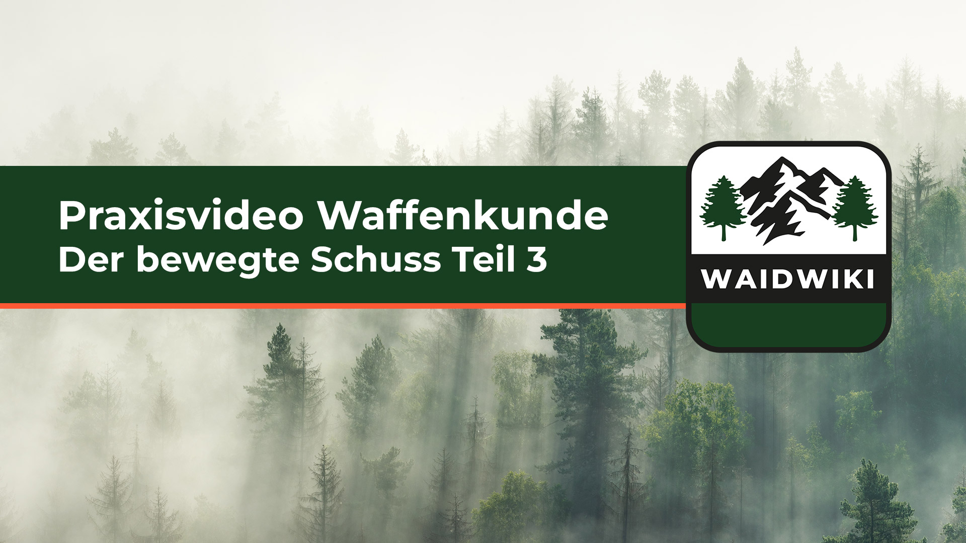 Der bewegte Schuss Teil 3 - Waffenkunde Praxisvideos