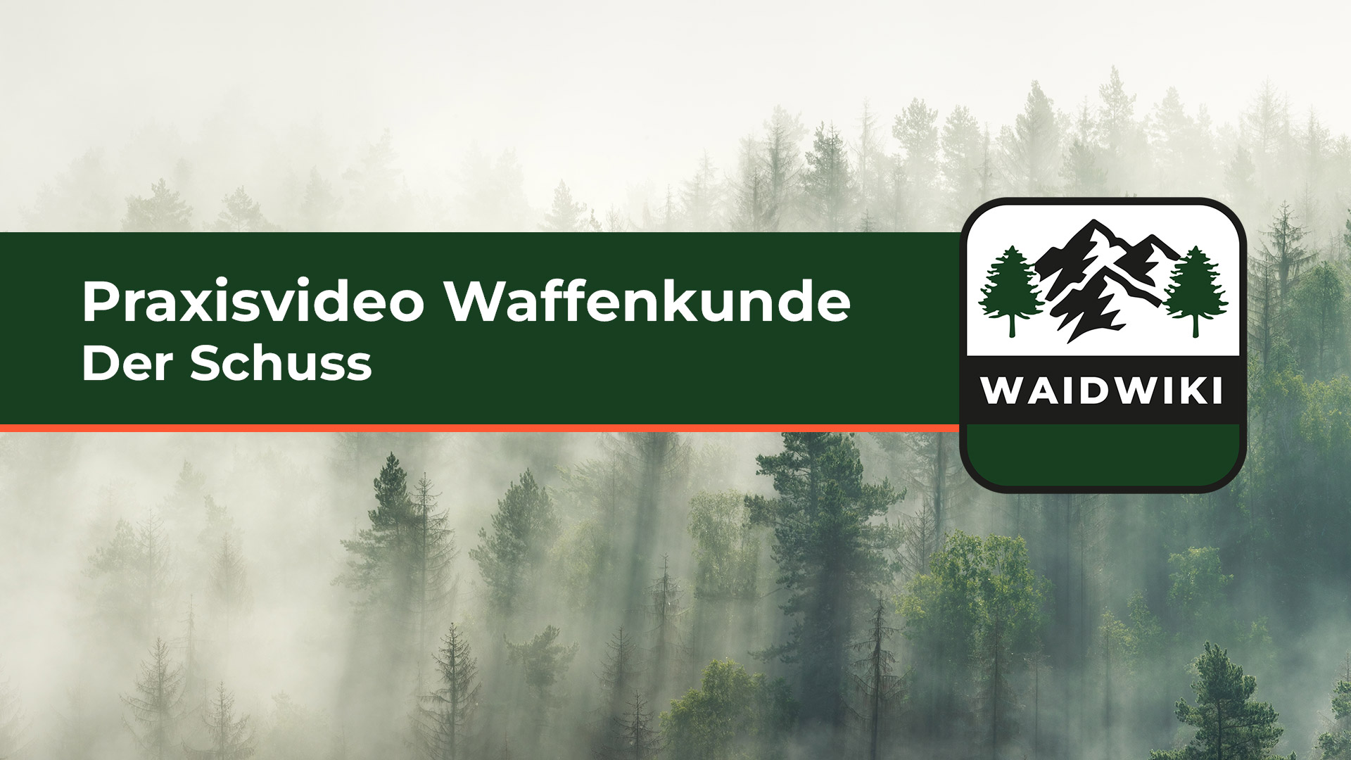 Der Schuss Waffenkunde Praxisvideos