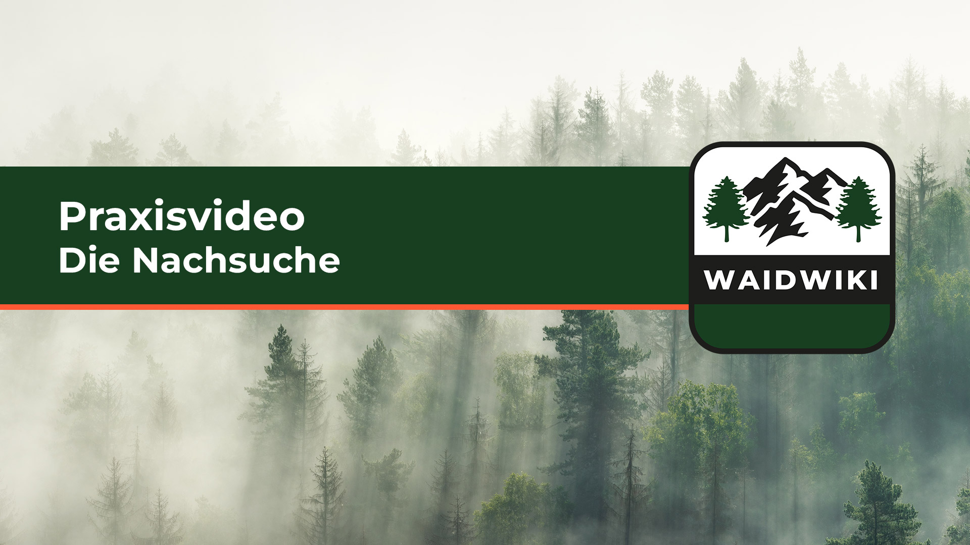 Die Nachsuche - Praxisvideo 