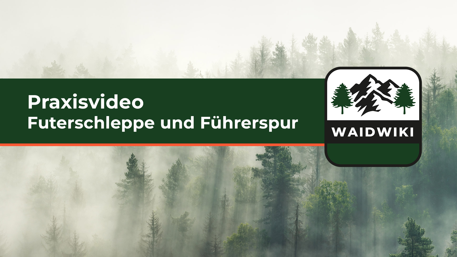 Futerschleppe und Führerspur - Praxisvideo