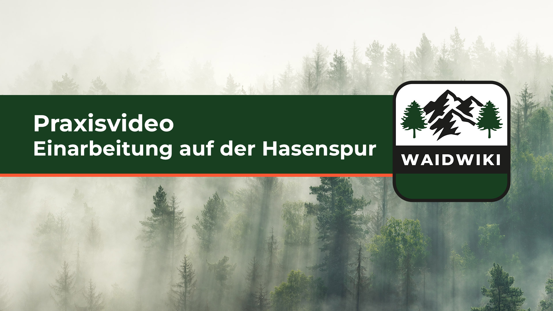 Einarbeitung auf der Hasenspur - Praxisvideo