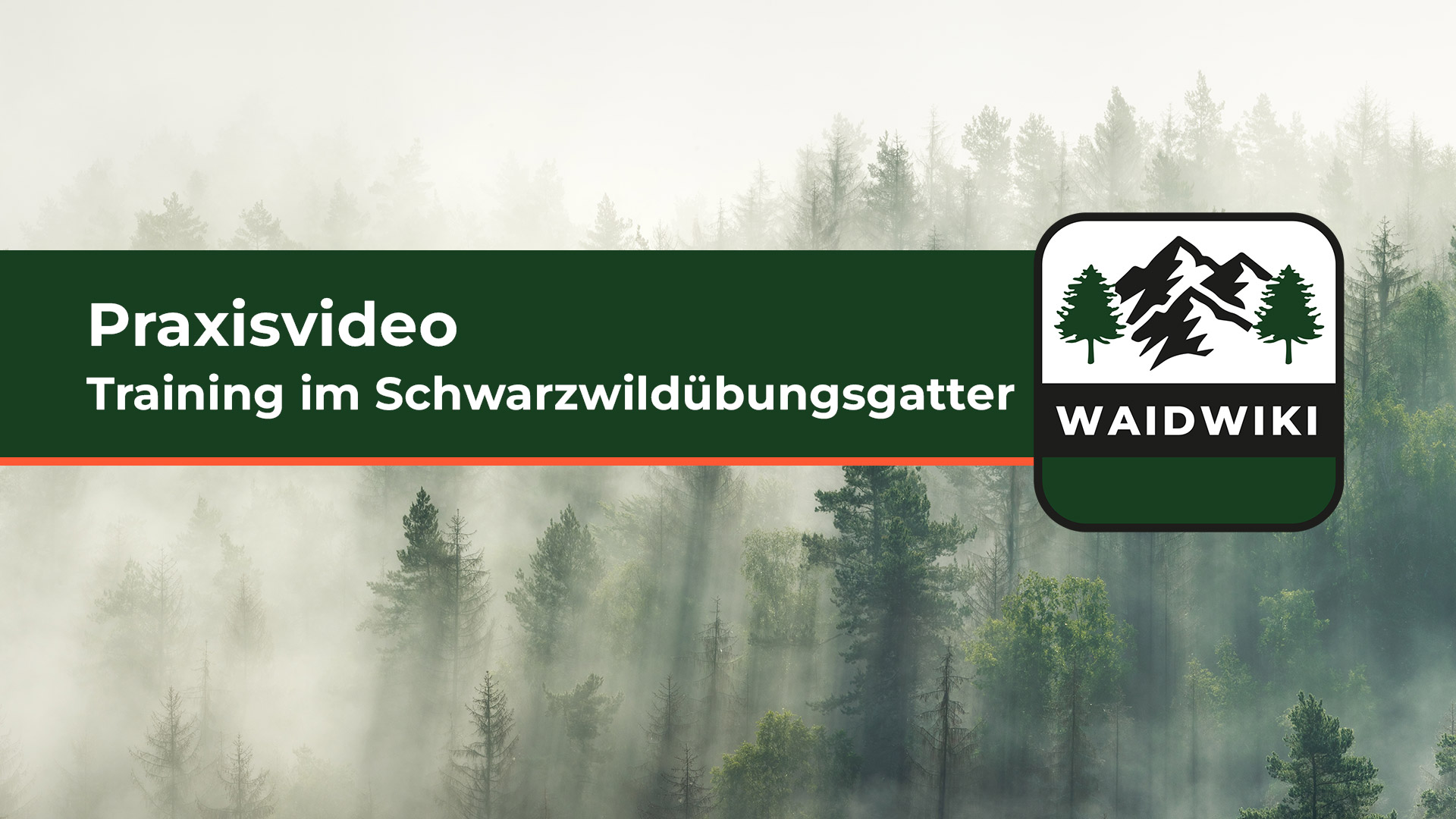 Training im Schwarzwildübungsgatter - Praxisvideo
