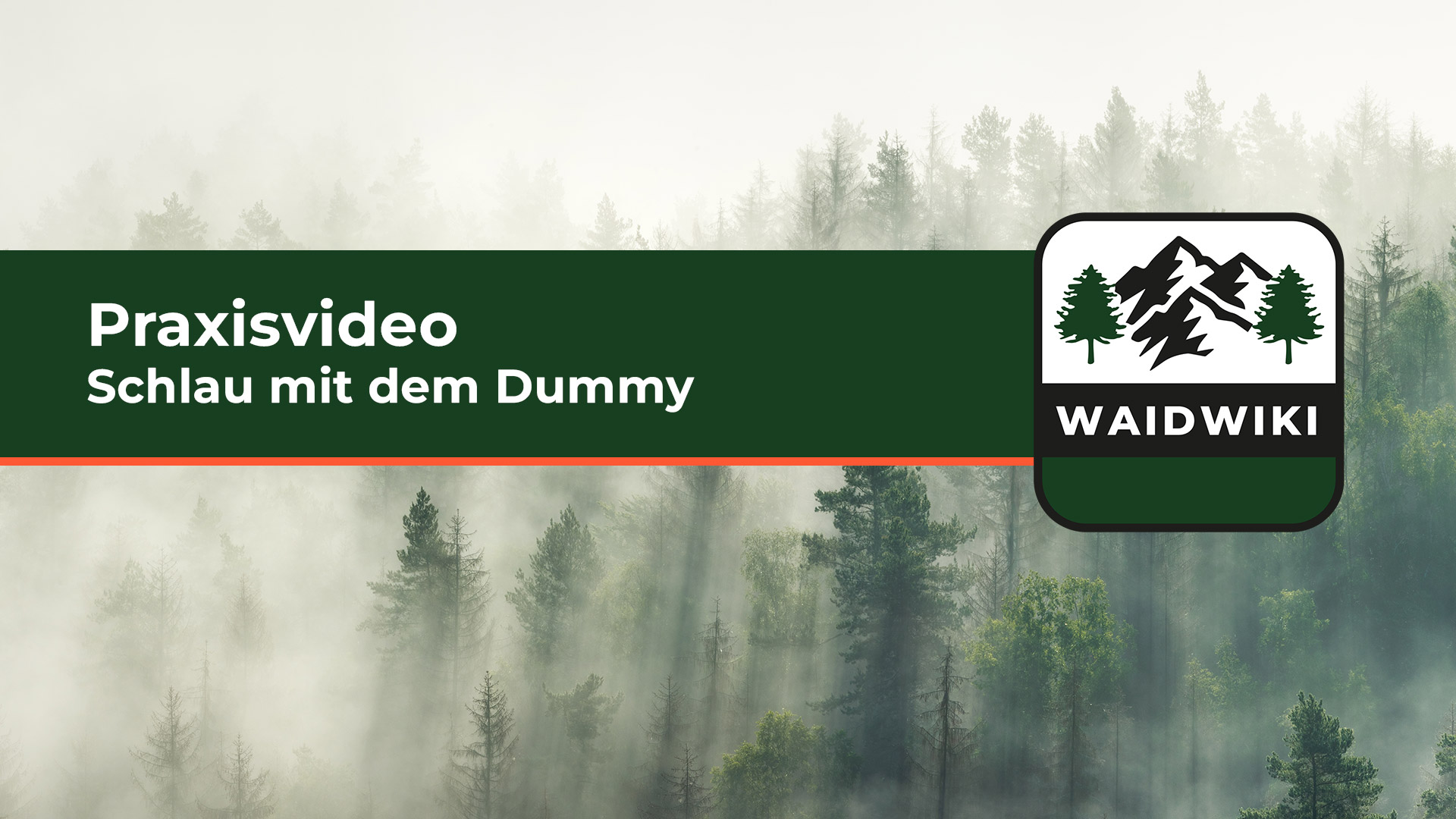 Schlau mit dem Dummy - Praxisvideo 