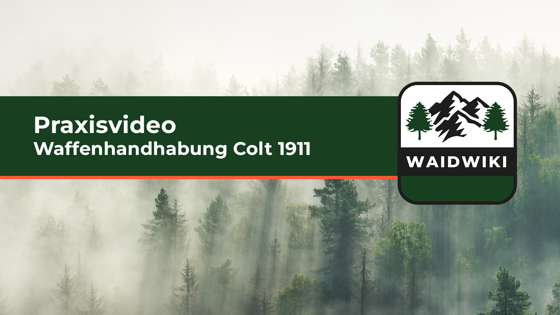 Waffenhandhabung Colt 1911 - Praxisvideo