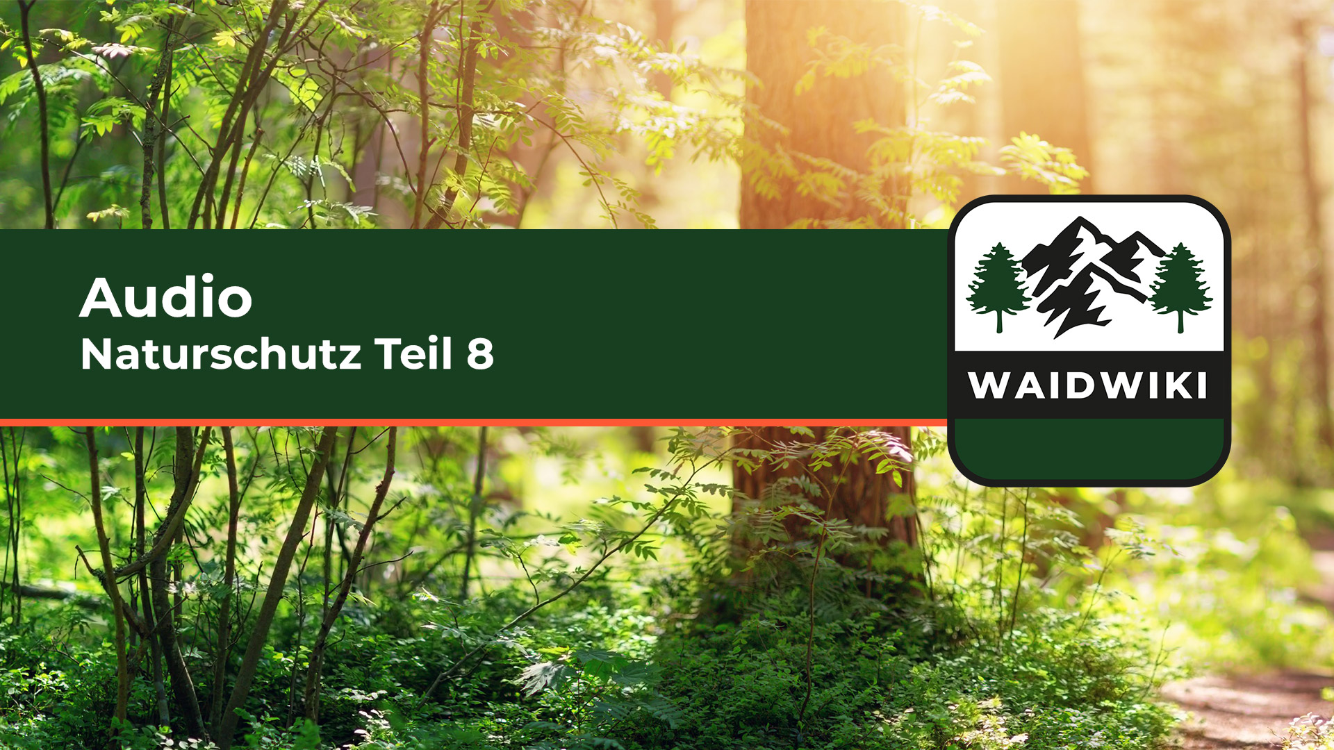 Naturschutz Teil 8 Audio