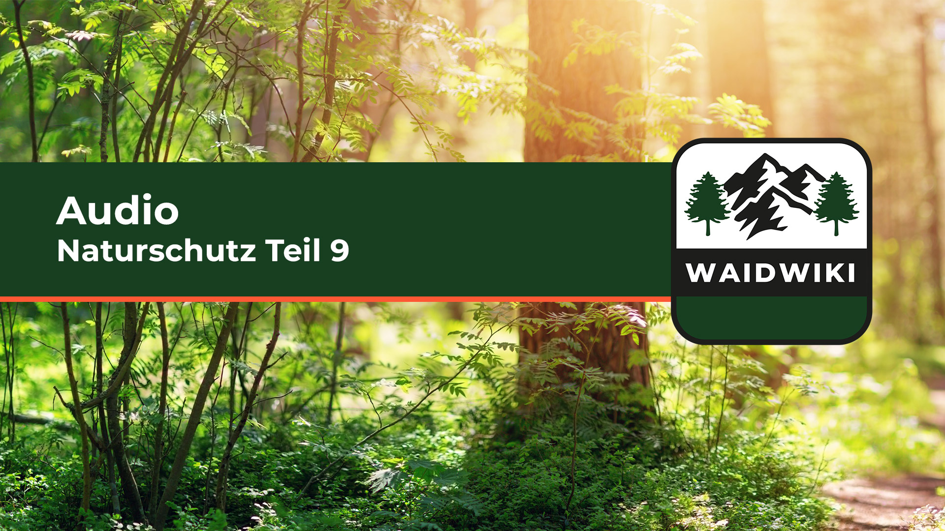 Naturschutz Teil 9 Audio