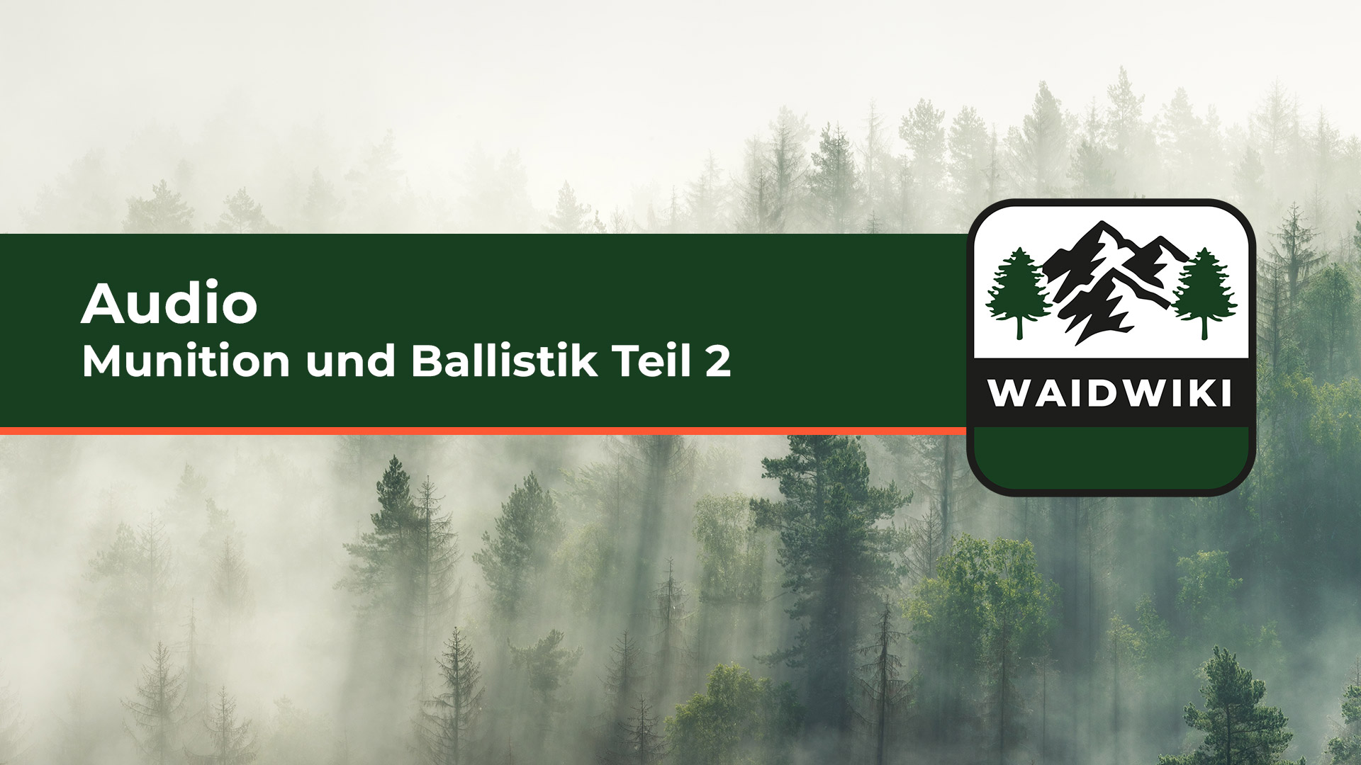Munition und Ballistik Teil 2 Audio