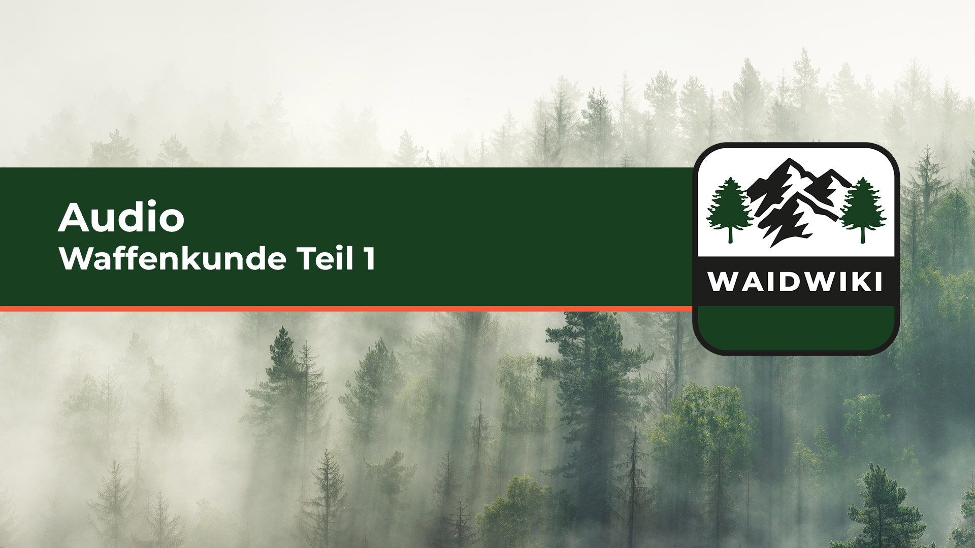 Waffenkunde Teil 1 Audio 