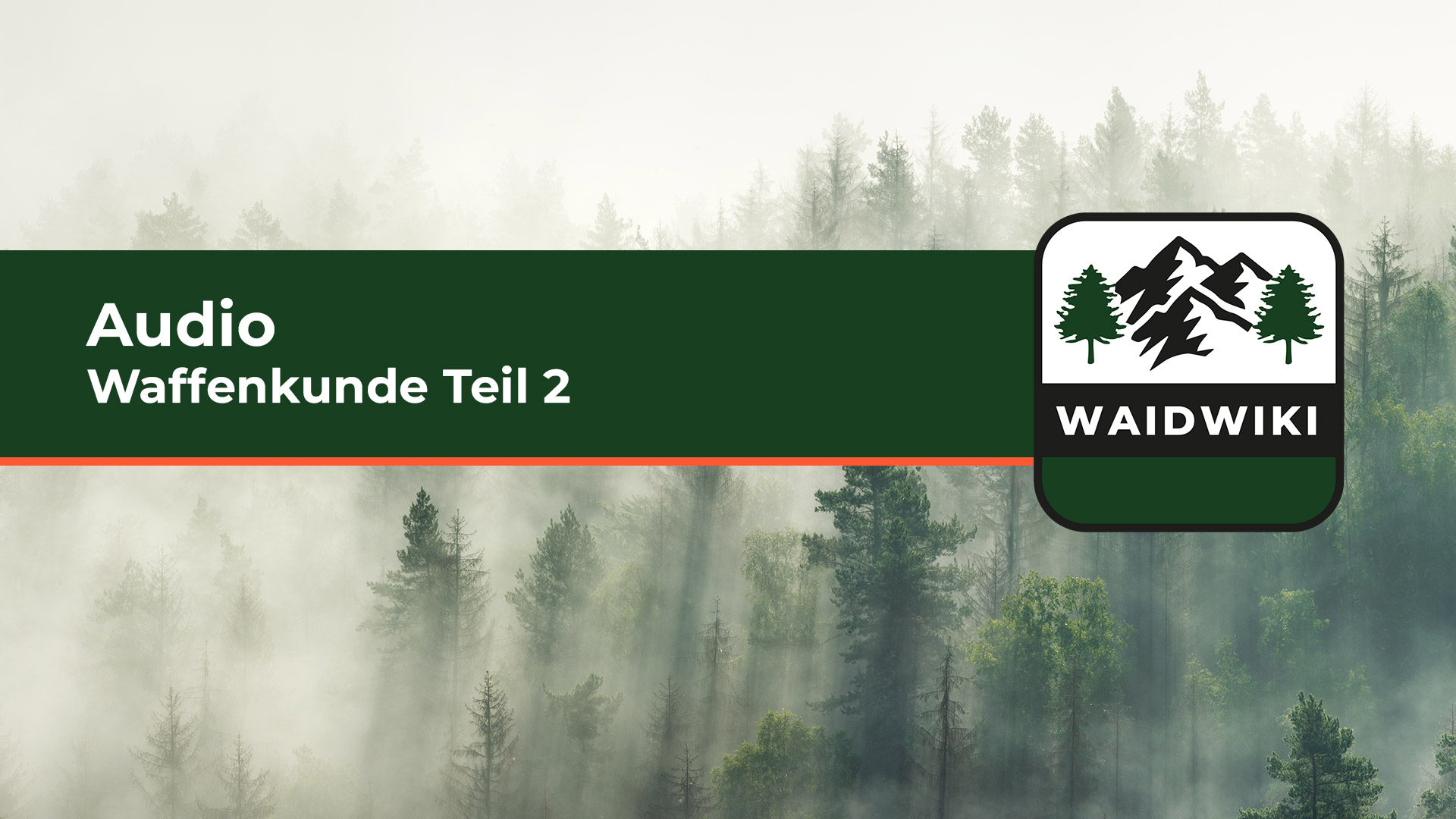Waffenkunde Teil 2 Audio