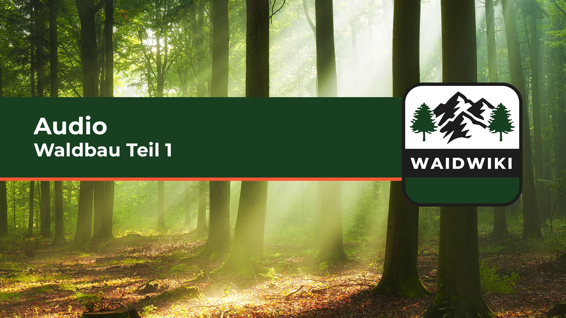 Waldbau Teil 1 Audio