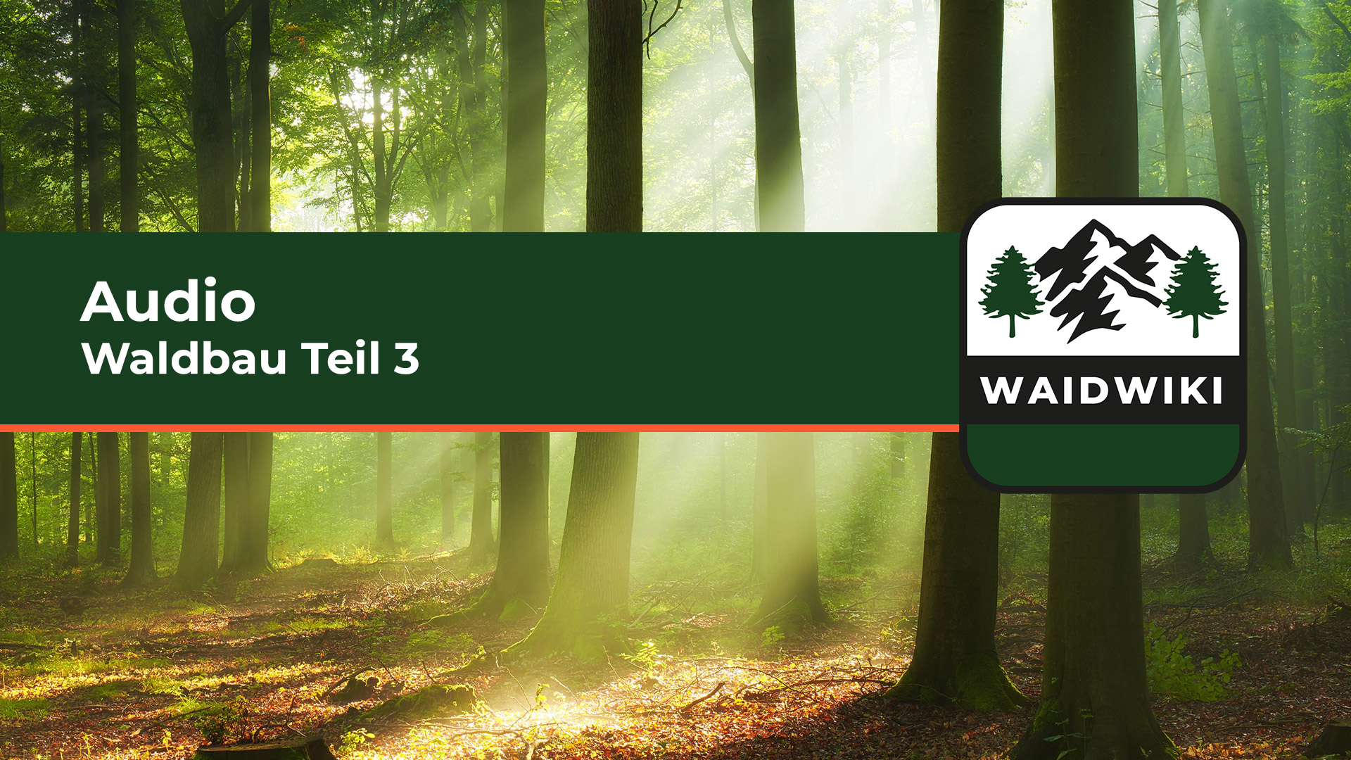 Waldbau Teil 3 Audio