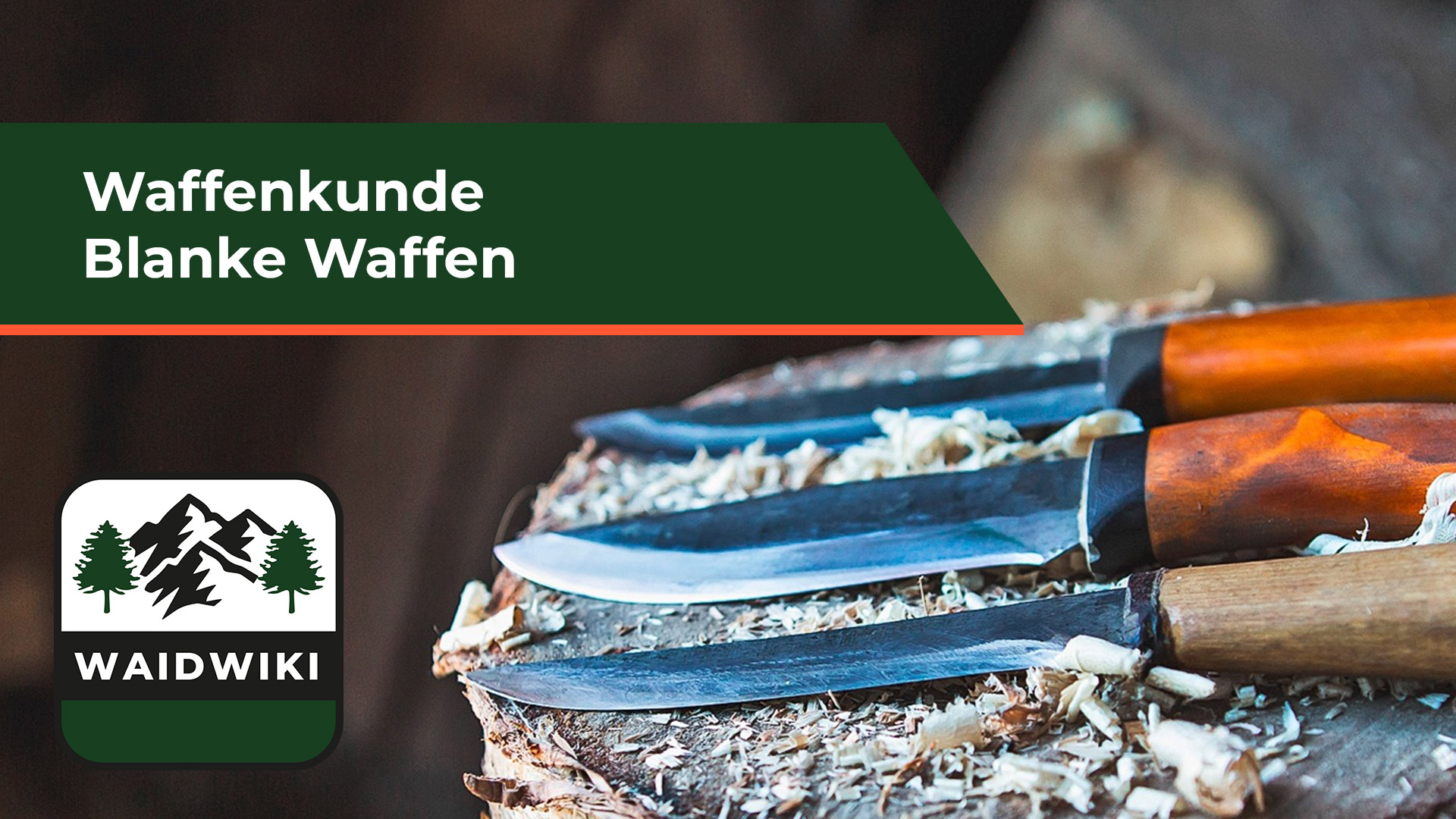 Blanke Waffen - Waffenkunde