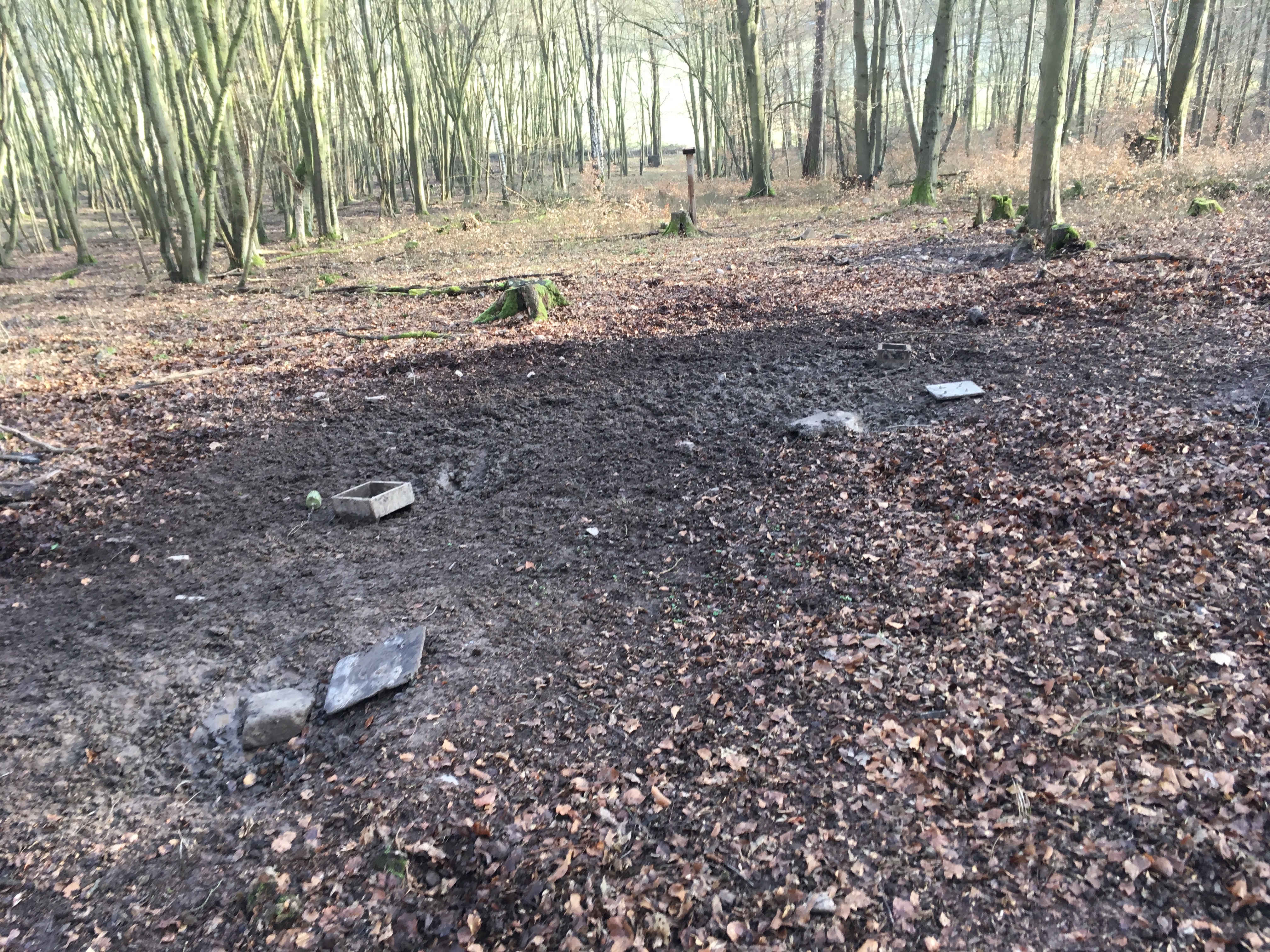 Wildbewirtschaftung