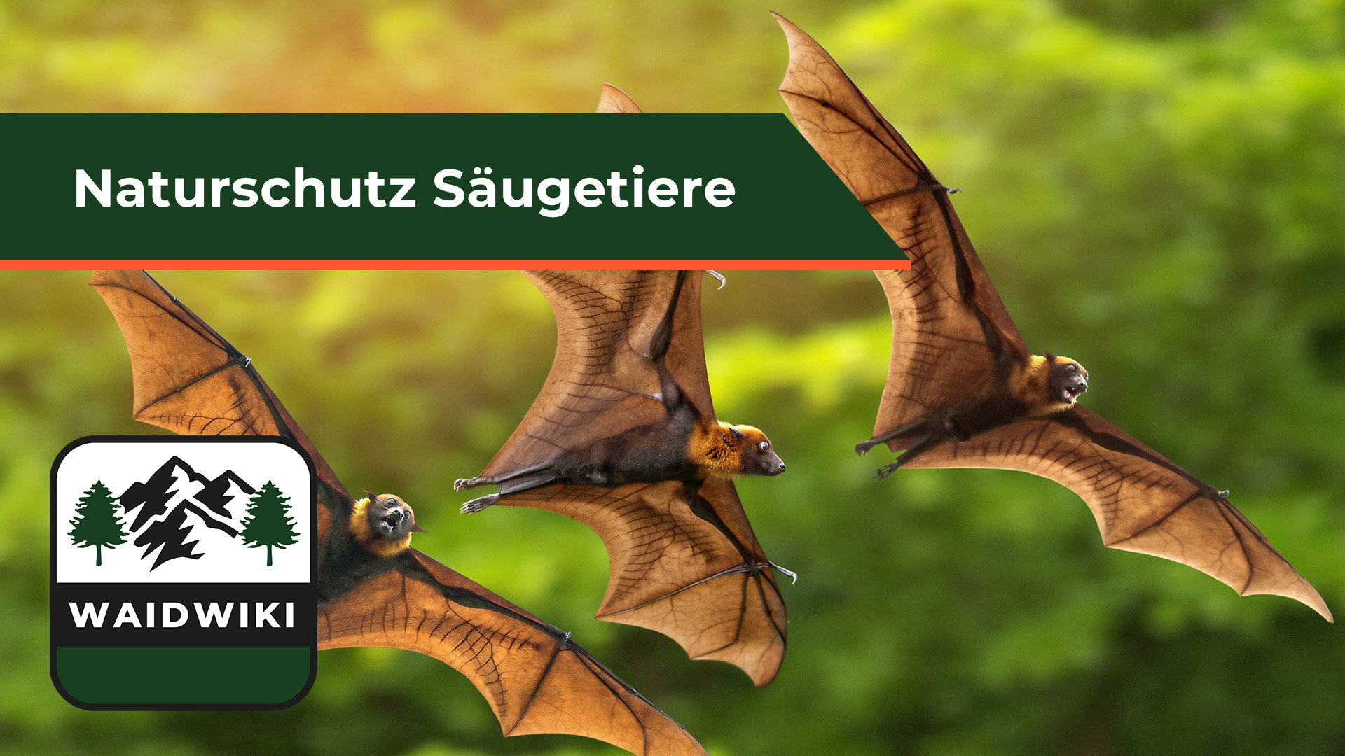 Säugetiere Naturschutz
