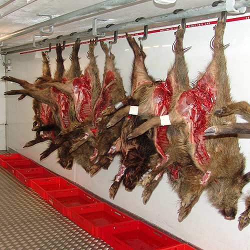 Wildbrethygiene im Jagdbetrieb