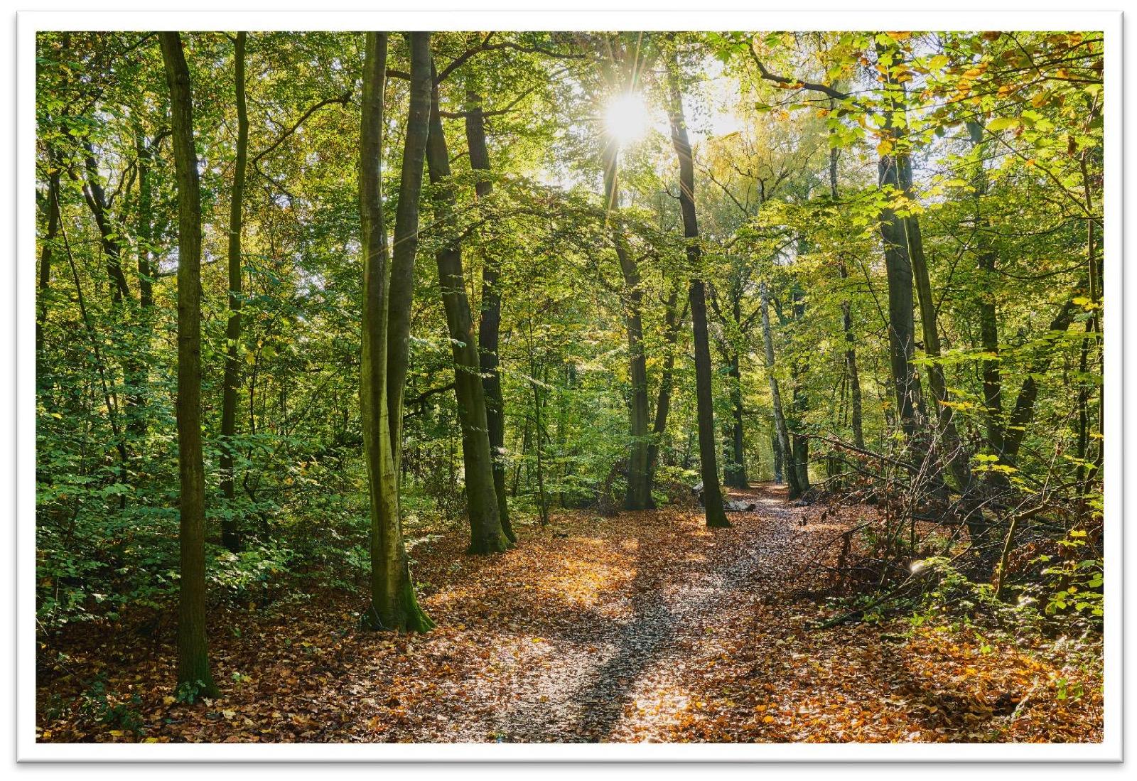 Laubwald