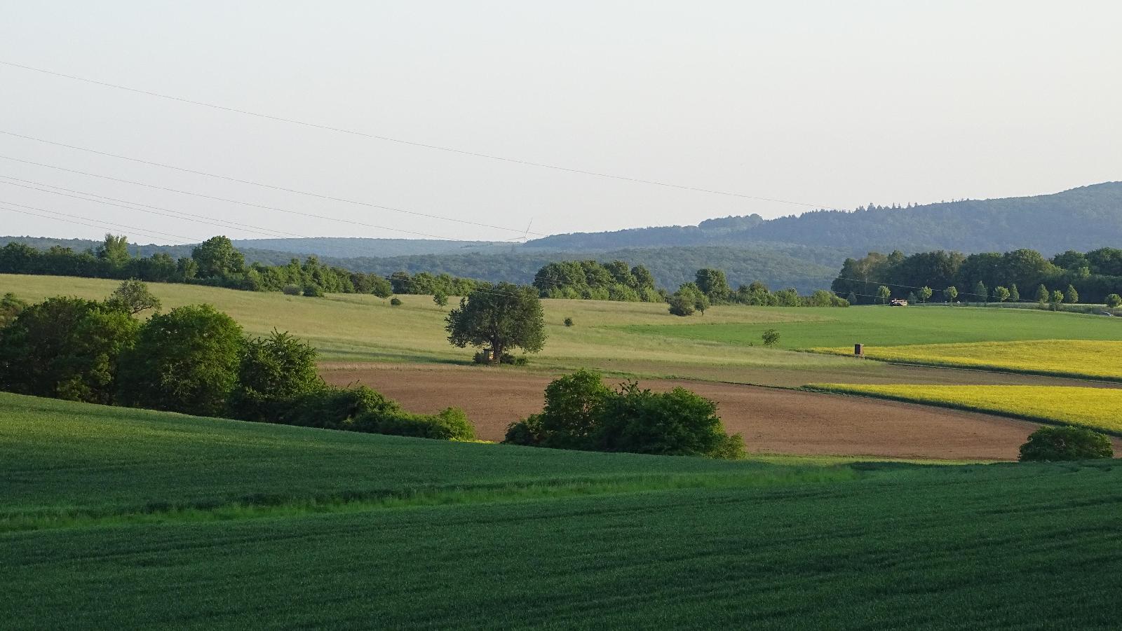 Getreideschlag