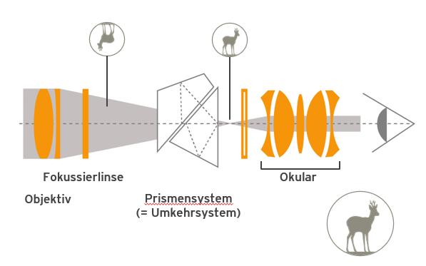 Umkehrsystem