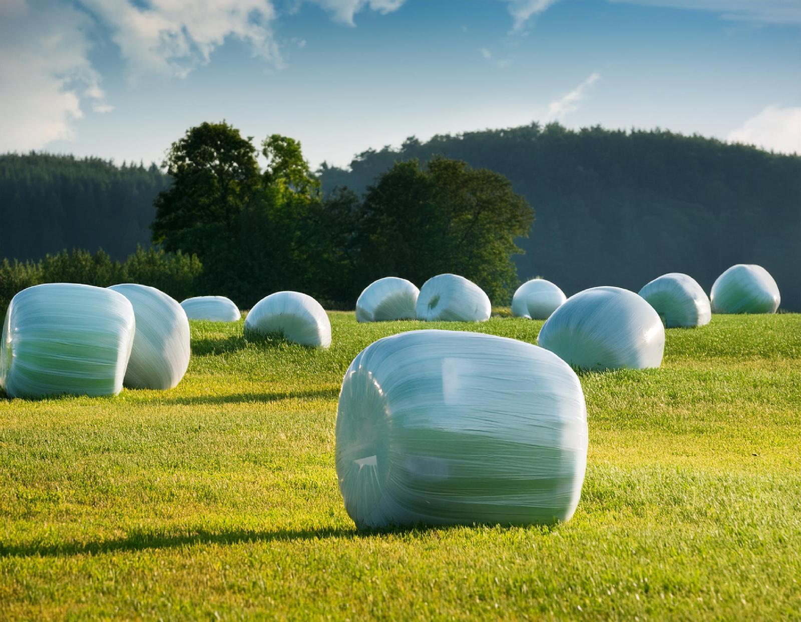 Silage
