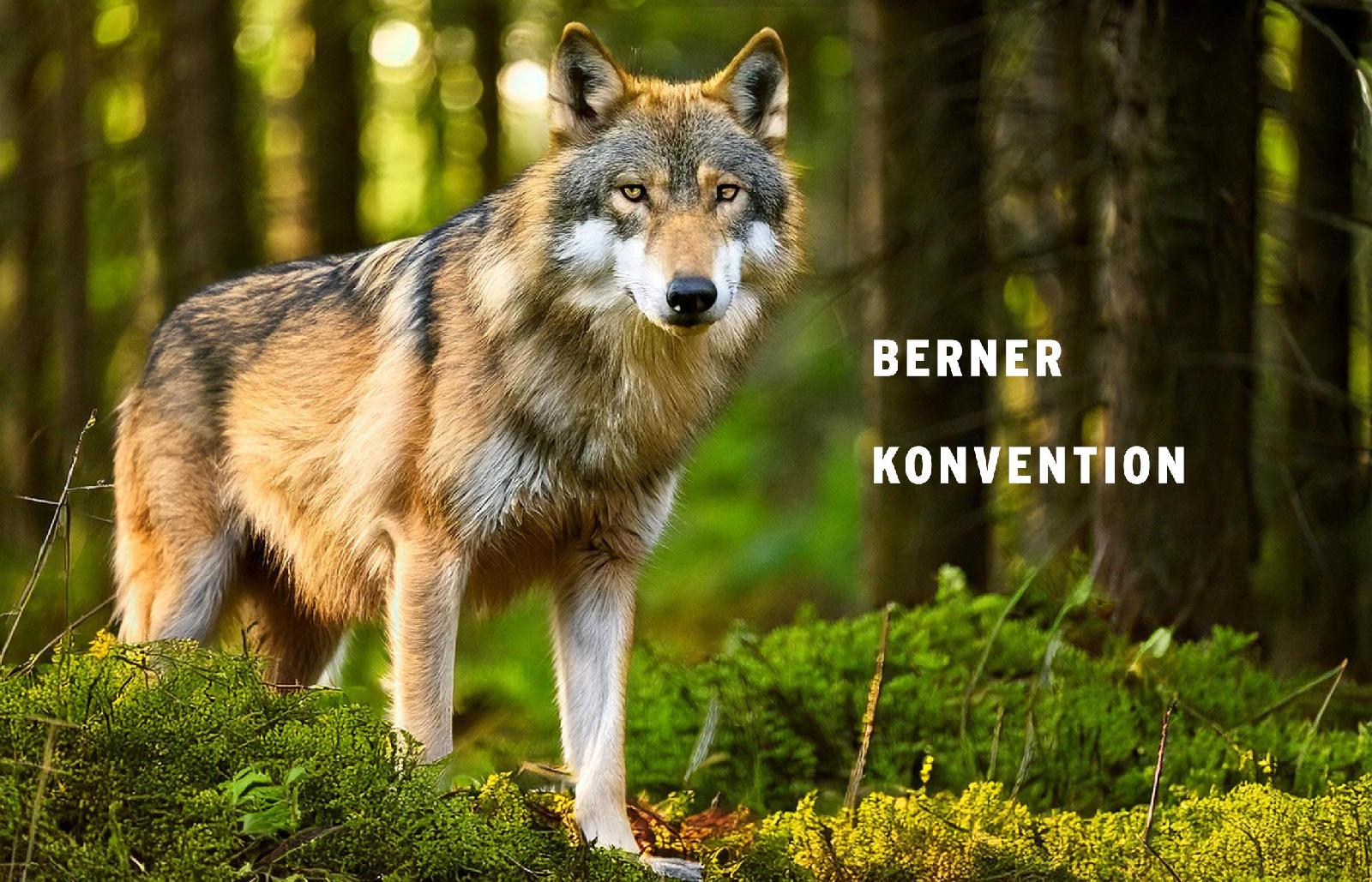 Berner Konvention