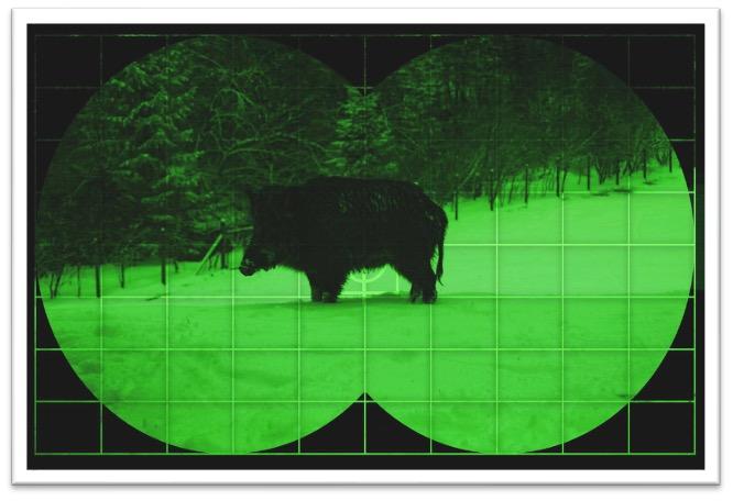 Bild durch einen Restlichtverstärker<br>