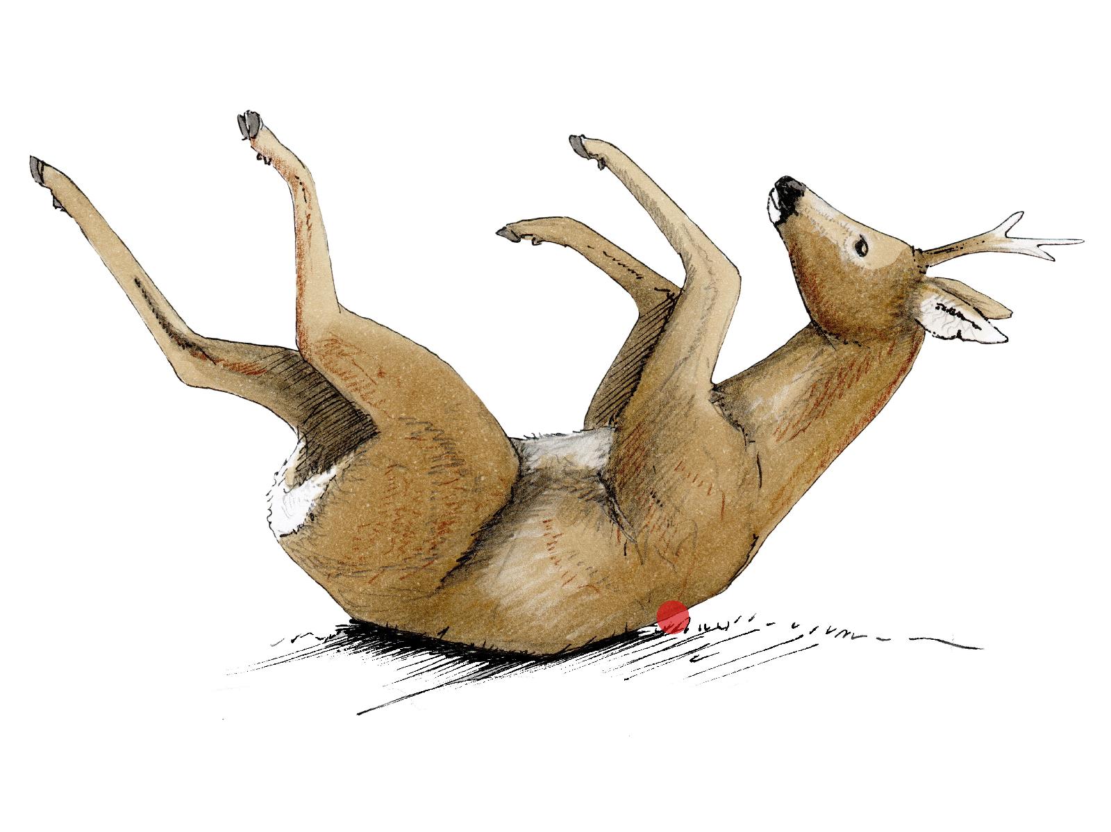 Krellschuss