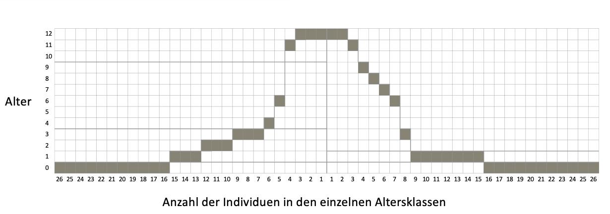 Alterspyramide Rotwild<br>