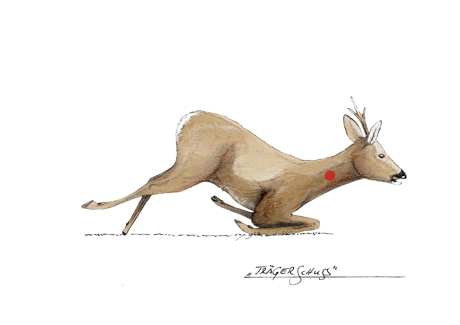 Trägerschuss