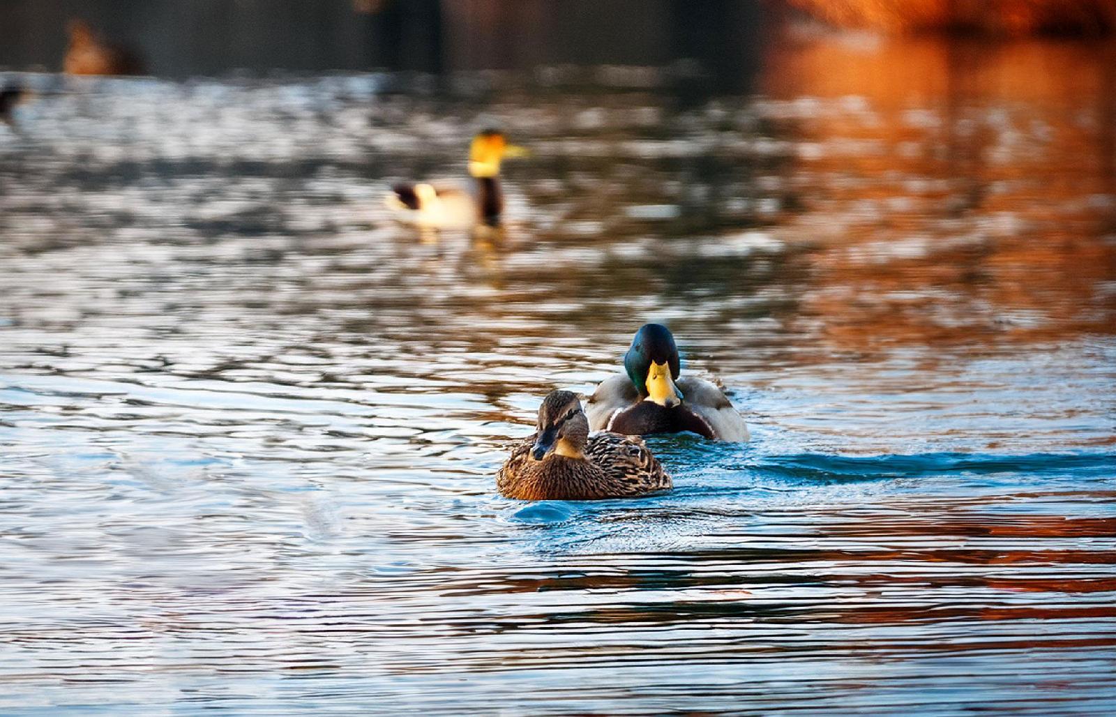 Reihzeit