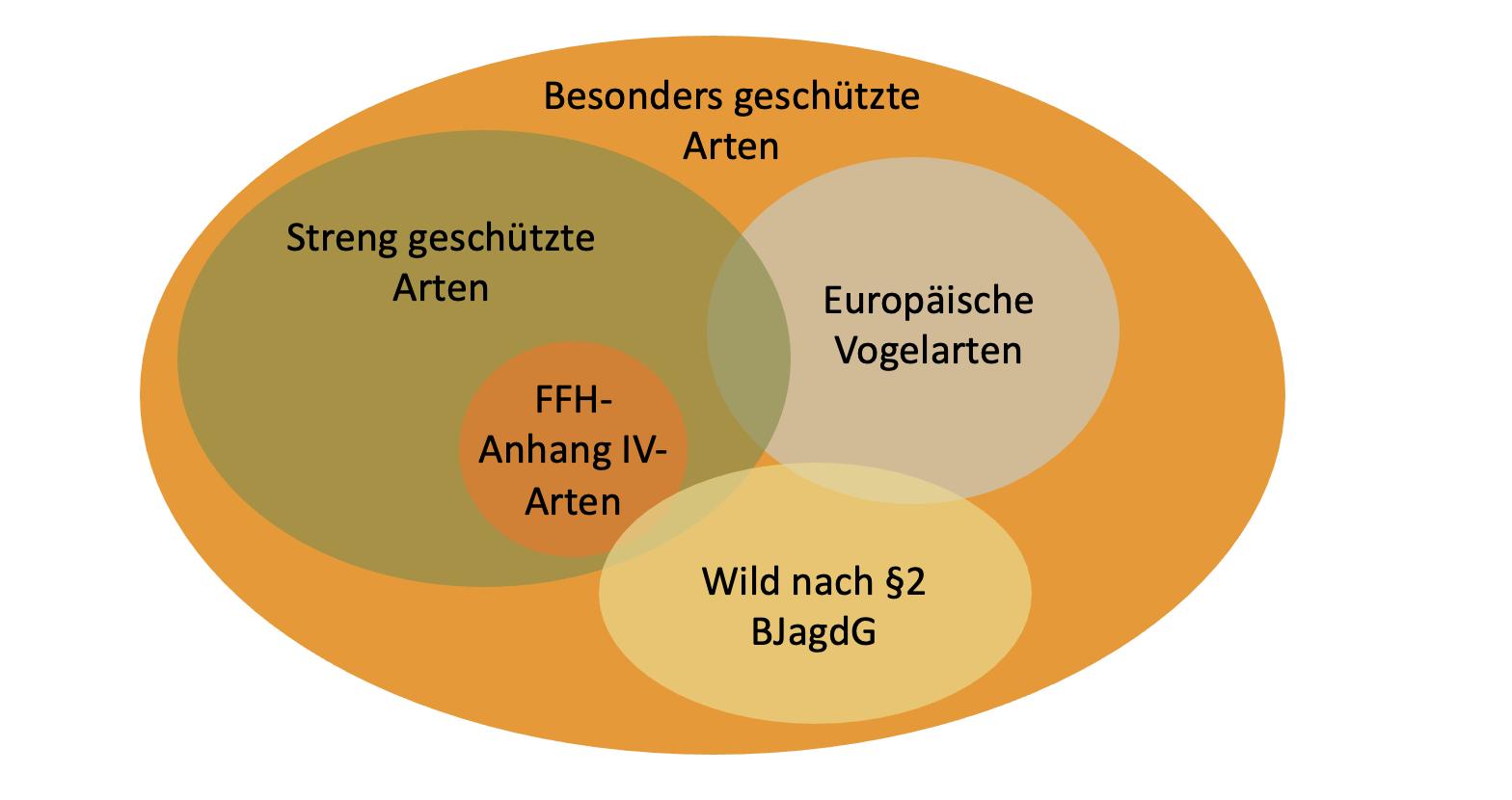Bundesartenschutzverordnung