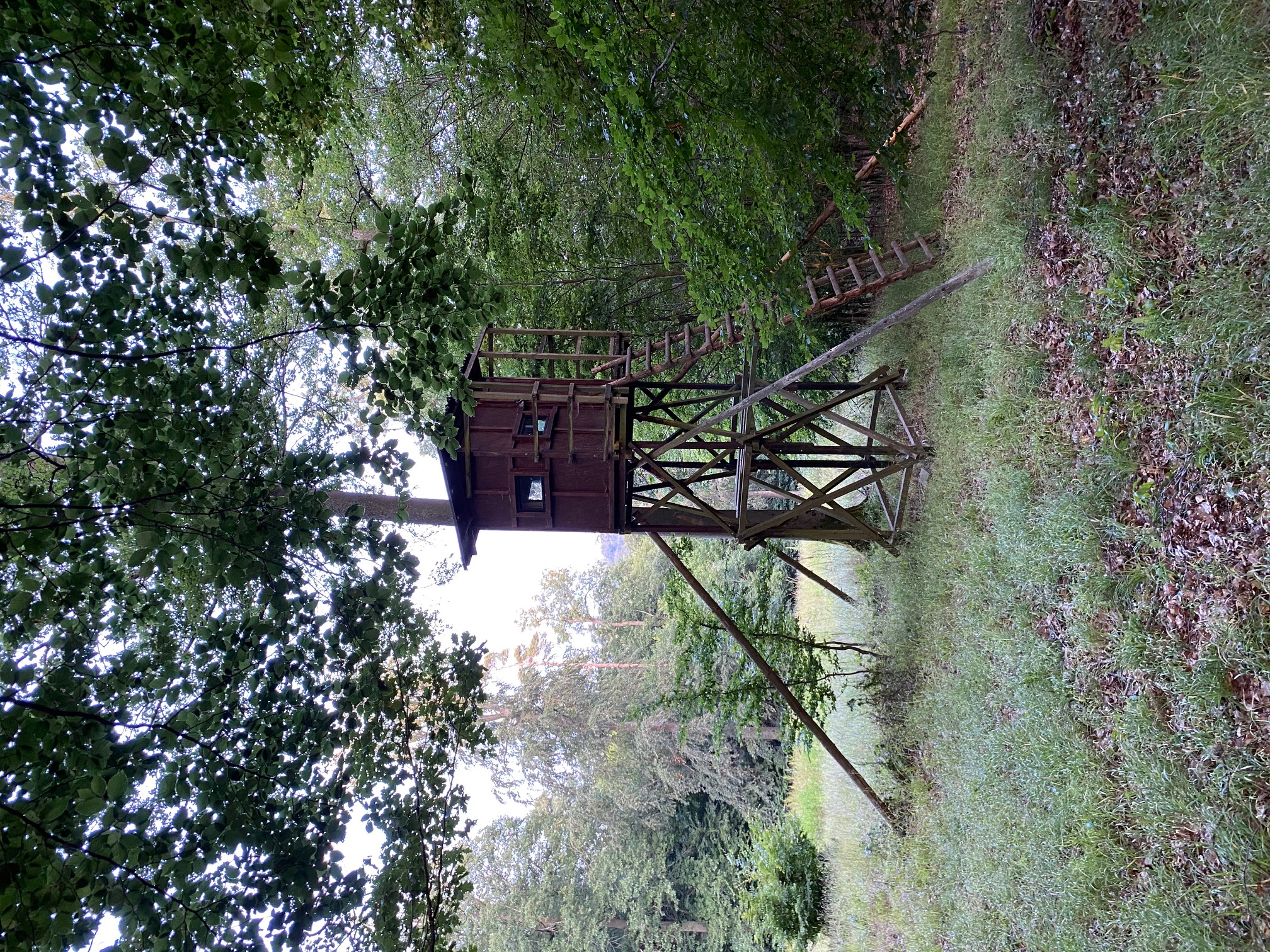 Kanzel