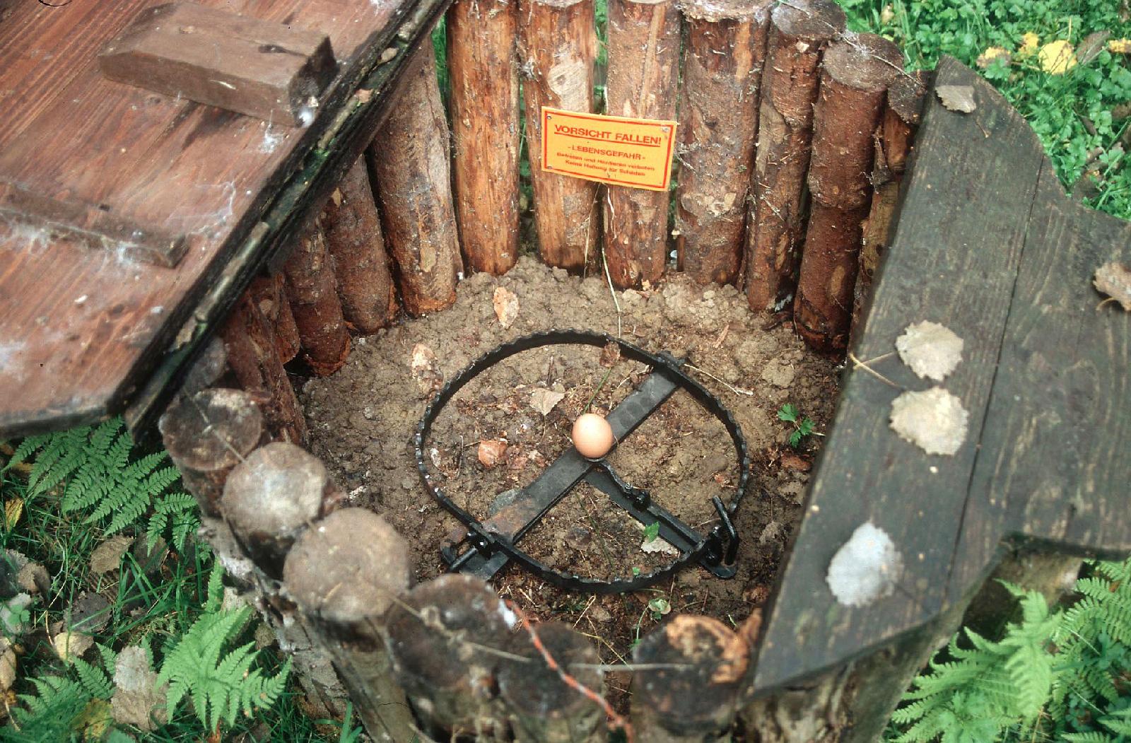 Eiabzugseisen
