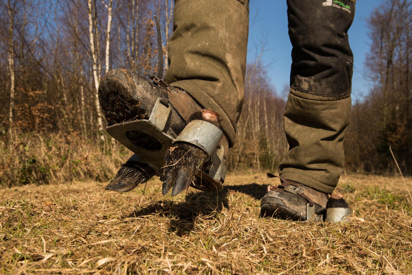Fährtenschuh
