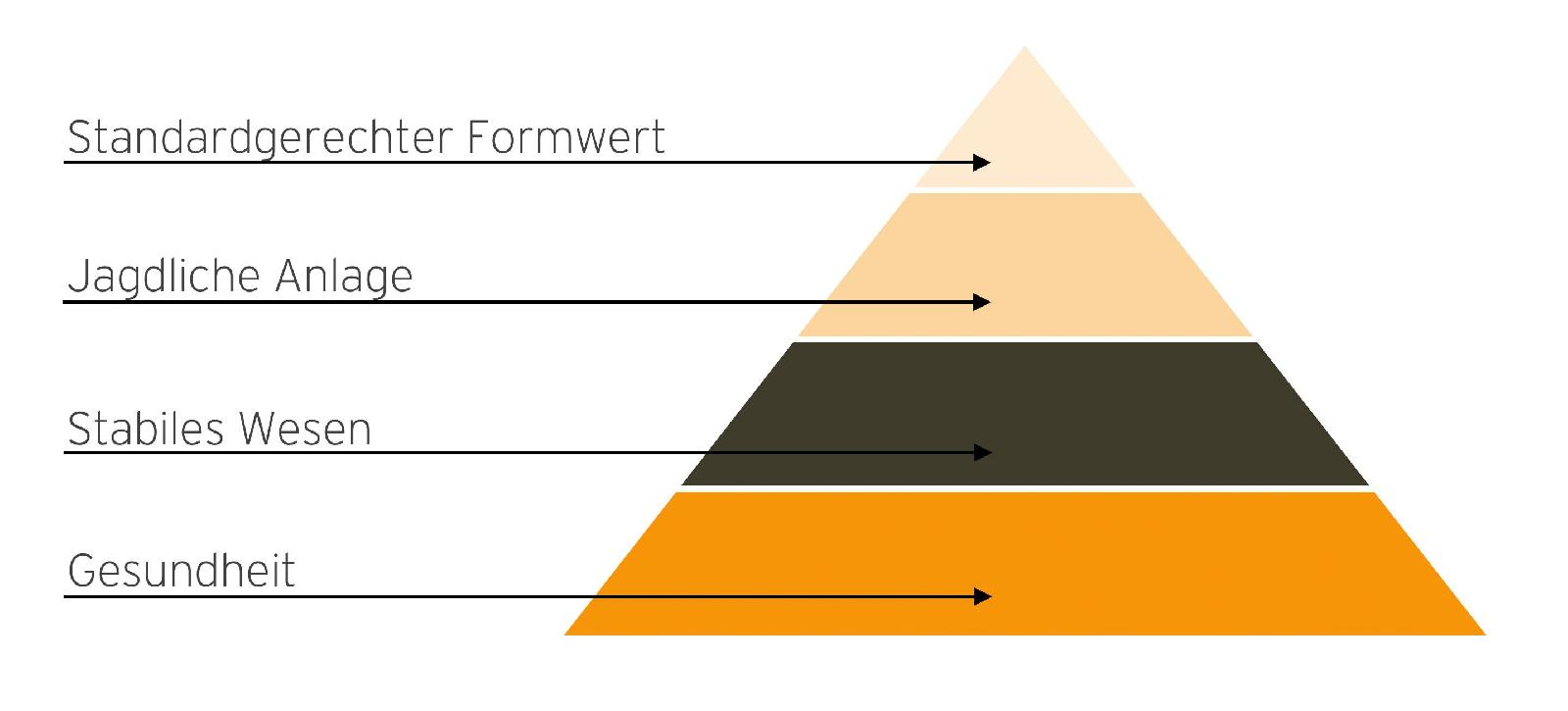Die vier Grundpfeiler der Zucht
