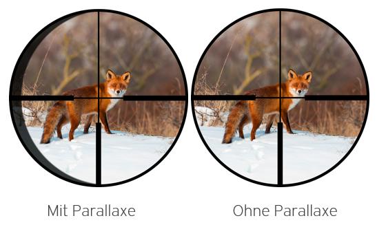Parallaxe