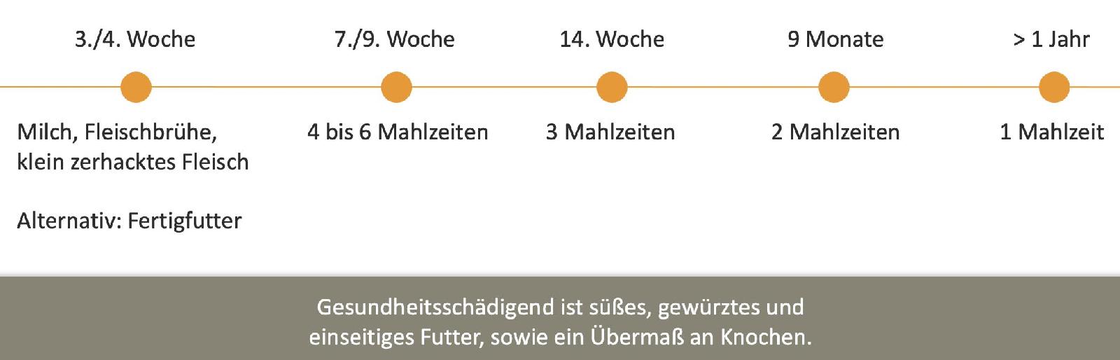 Ernährung Welpen<br>